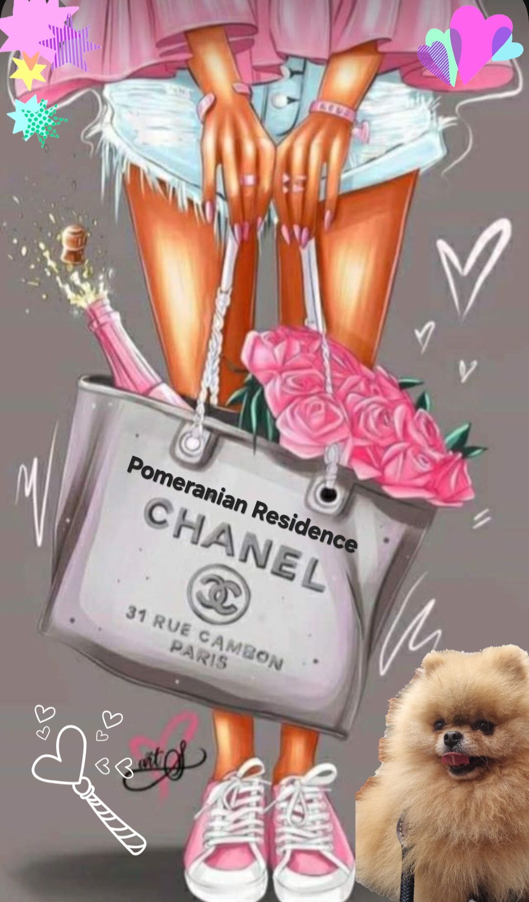 Pomeranian Residence Puppy Op komst.jpg